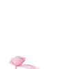 Voguishsteps.shop04fcb469b4 6