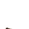 Voguishsteps.shop9c8a0384d7 1