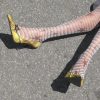 Voguishsteps.shopaca3df6c88 4