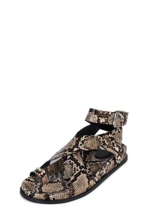 Voguishsteps.shopfe18a41798 5