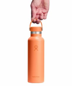 Voguishsteps.shop1f60403706 3